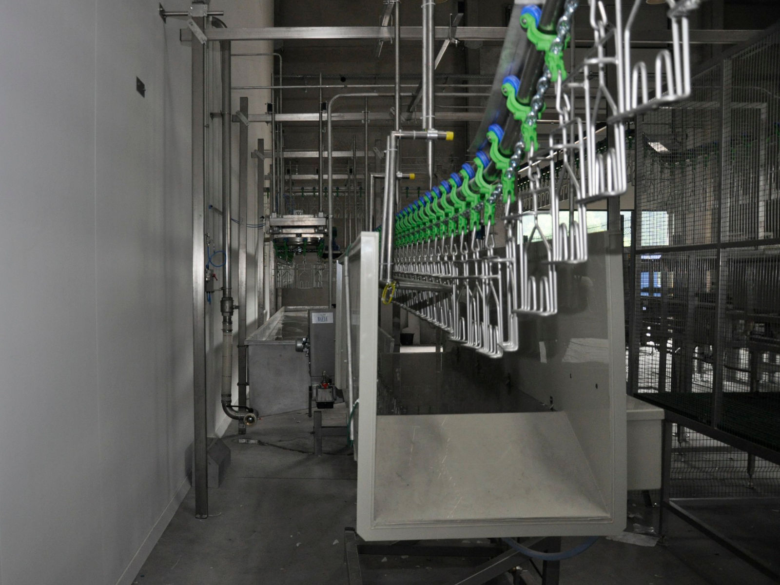Poultry stunning equipment